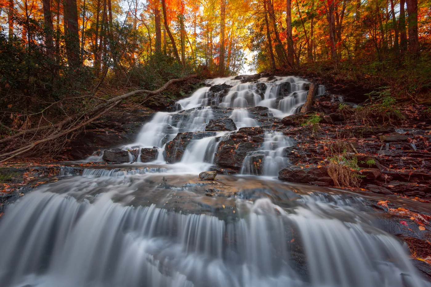Vogel State Park landscape before an illustrative water pressure scenario
