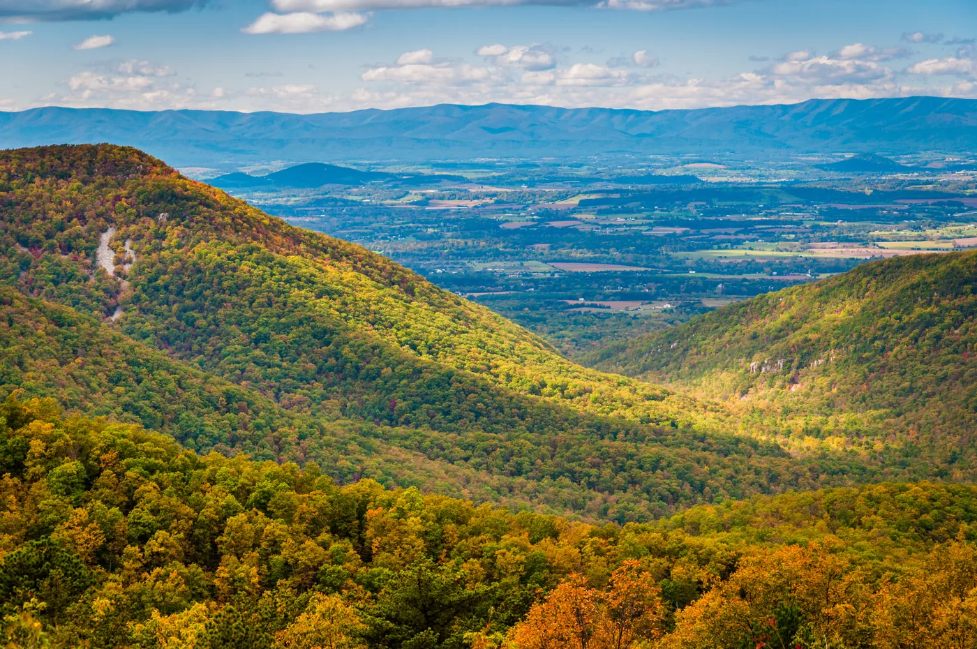 Forested Shenandoah Valley landscape before an illustrative infrastructure corridor